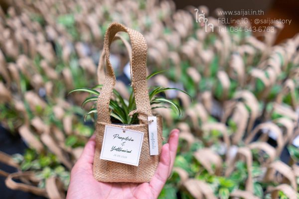 ต้นไม้มงคลของชำร่วย ในถุงผ้าแคนวาส - Image 8