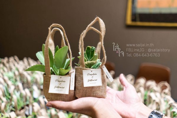 ต้นไม้มงคลของชำร่วย ในถุงผ้าแคนวาส - Image 10